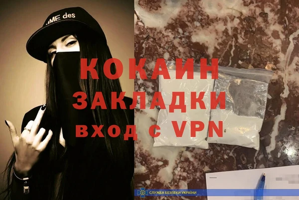 гидра Абаза