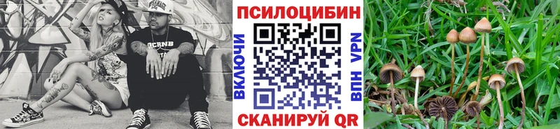 Псилоцибиновые грибы Psilocybine cubensis Нягань