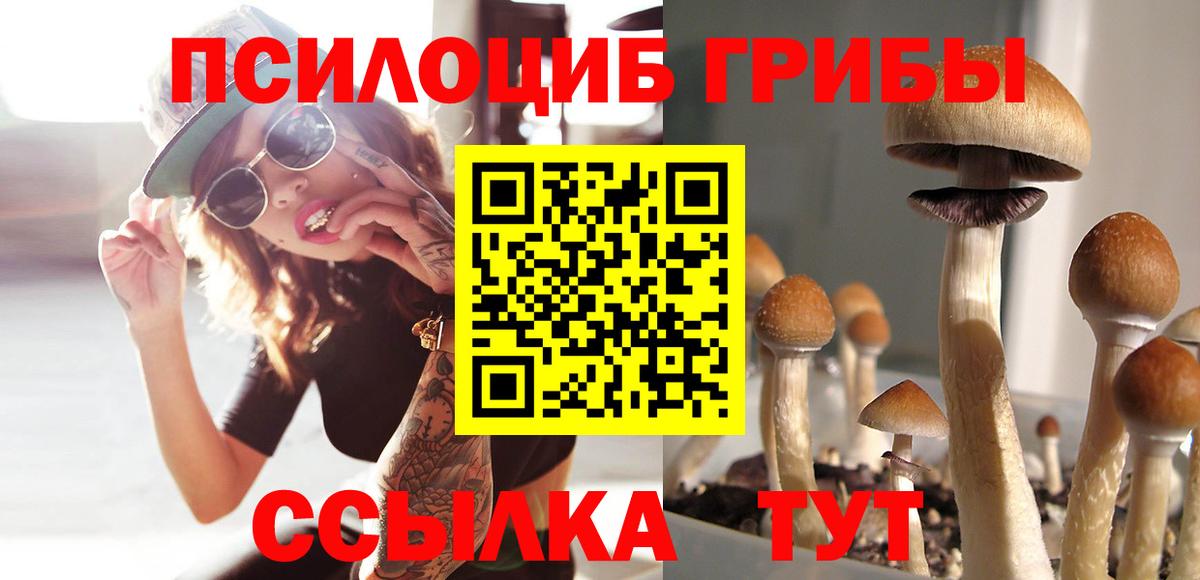 Нягань  Галлюциногенные грибы прущие грибы  Вход с VPN  Галлюциногенные грибы Psilocybe 